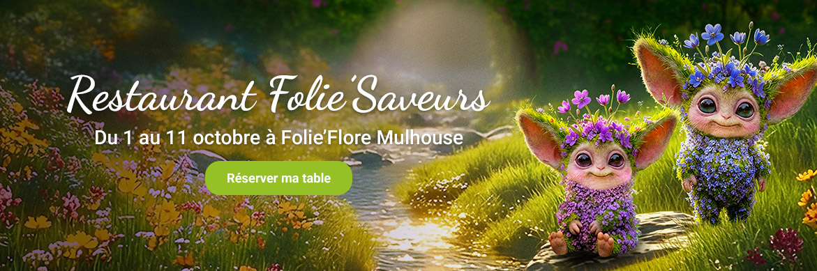 Folie Saveurs 2026